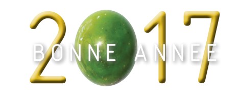 voeux-2017-vongdc-bonne-annee